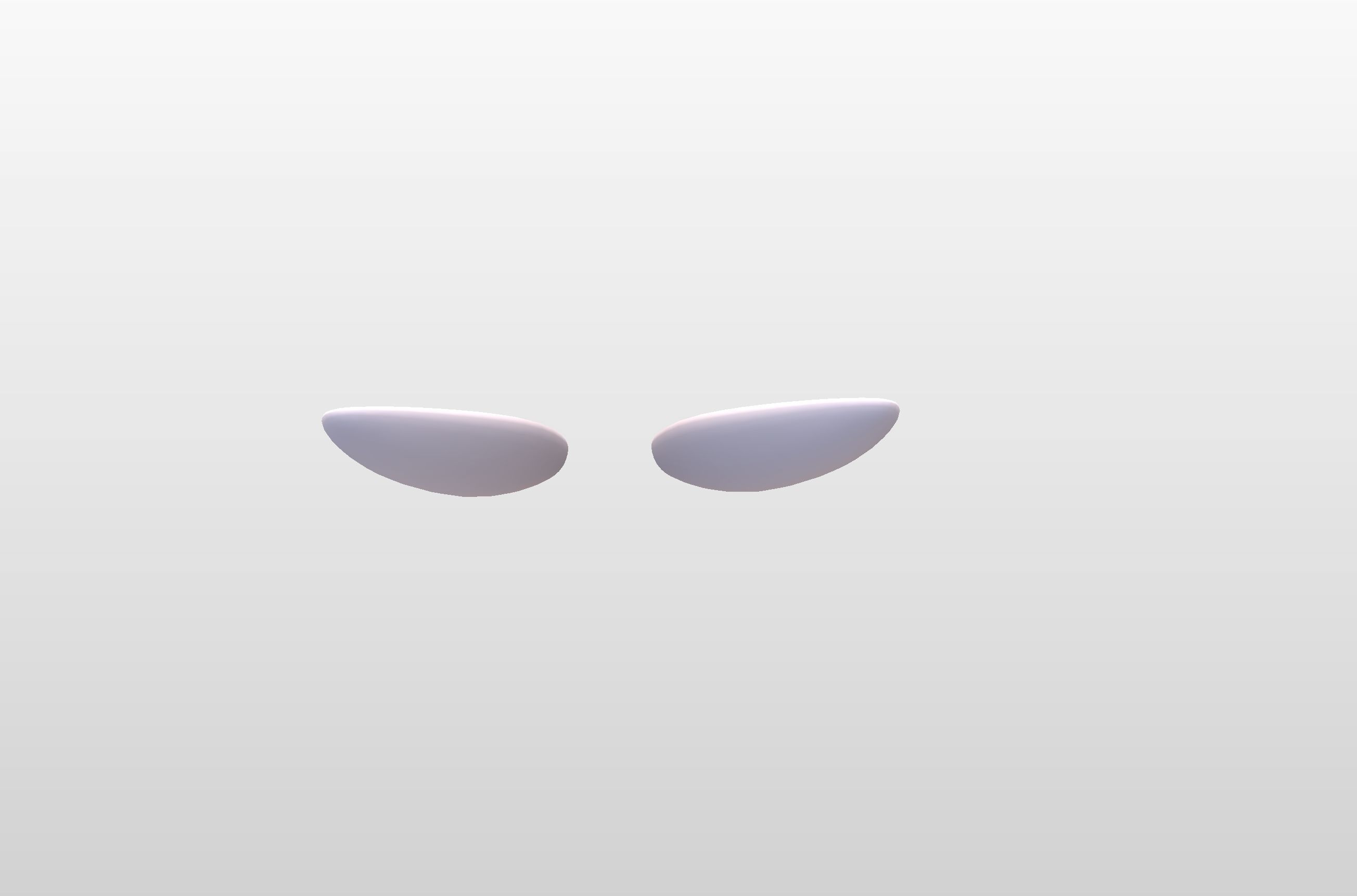 Rabbit Ear 3D model_13