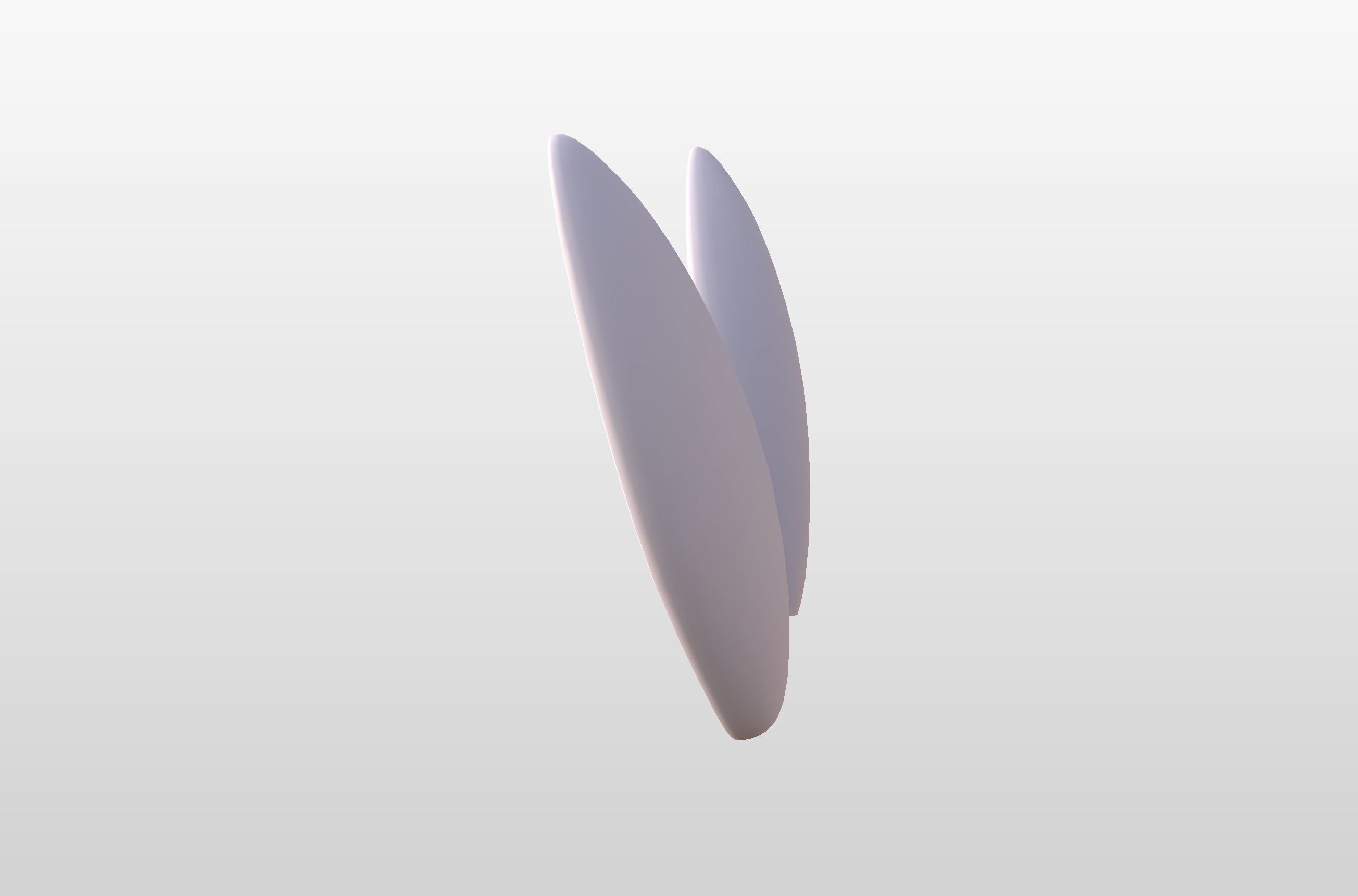 Rabbit Ear 3D model_16