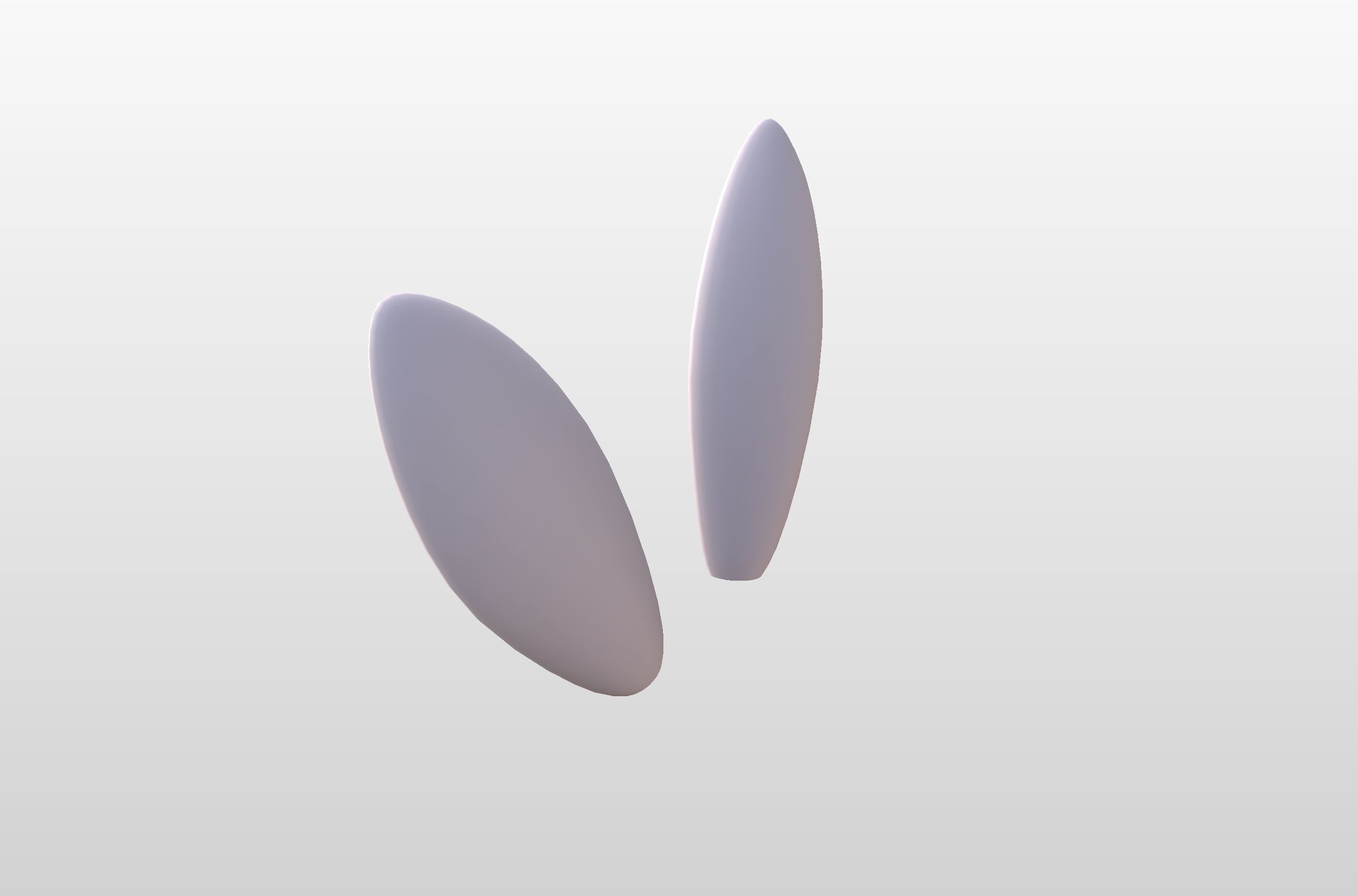 Rabbit Ear 3D model_15