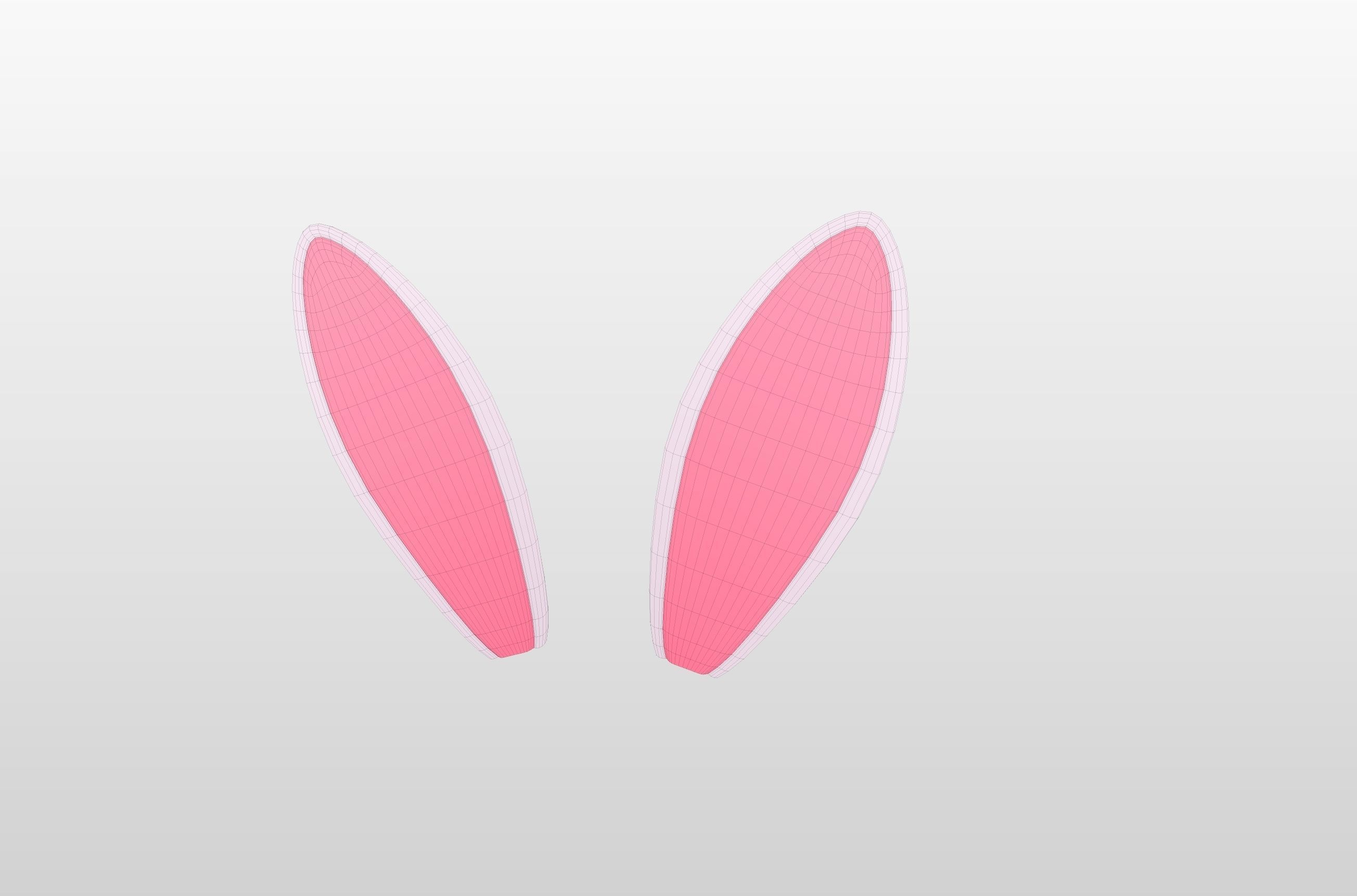 Rabbit Ear 3D model_3