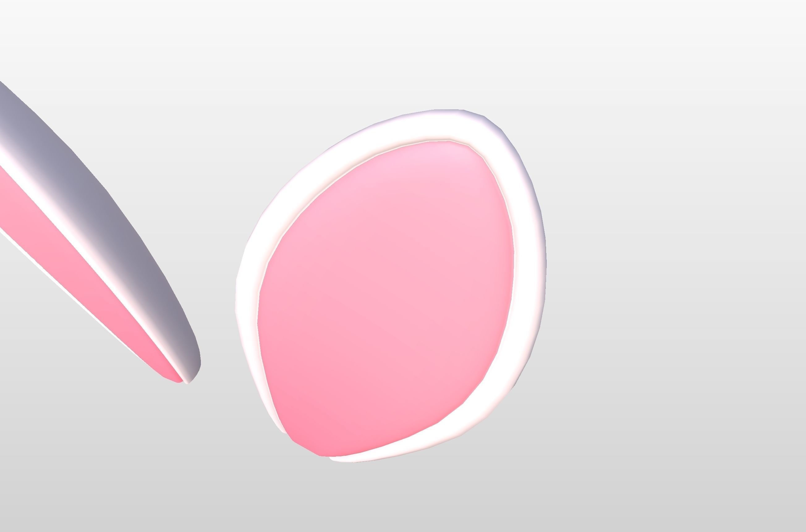 Rabbit Ear 3D model_20