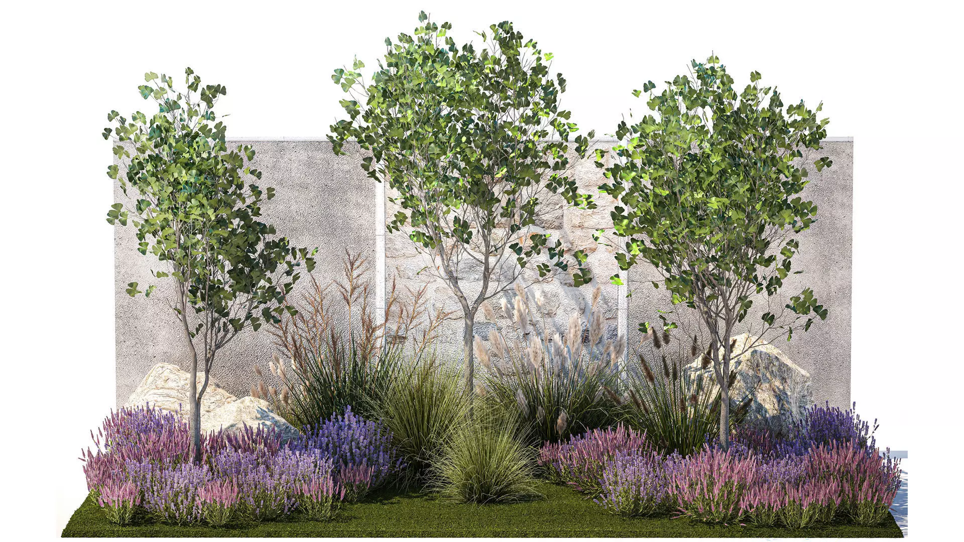 Garden with lavender bushes and Ginkgo biloba trees 1389 3D model