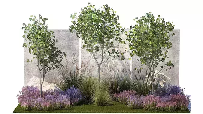 Garden with lavender bushes and Ginkgo biloba trees 1389 3D model