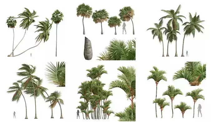  6 Different SETS of Tree SET VOL54 3D Model Collection