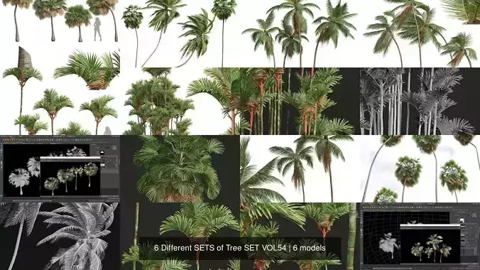  6 Different SETS of Tree SET VOL54