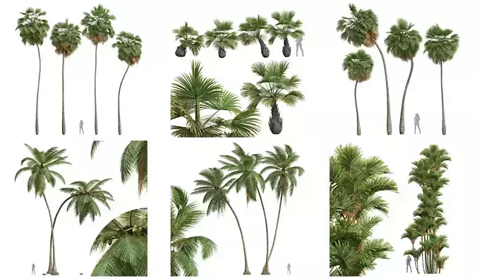  6 Different SETS of Tree SET VOL55 3D Model Collection