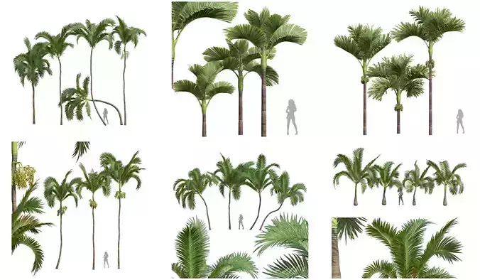  6 Different SETS of Tree SET VOL56 3D Model Collection