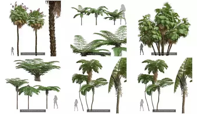  6 Different SETS of Tree SET VOL57 3D Model Collection