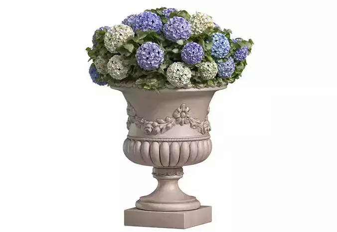 Hydrangea in a classic vase for decoration facade Patio