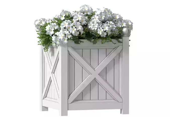  White flowers in a garden planter Patio