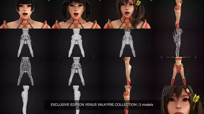 EXCLUSIVE EDITION VENUS VALKYRIE COLLECTION 