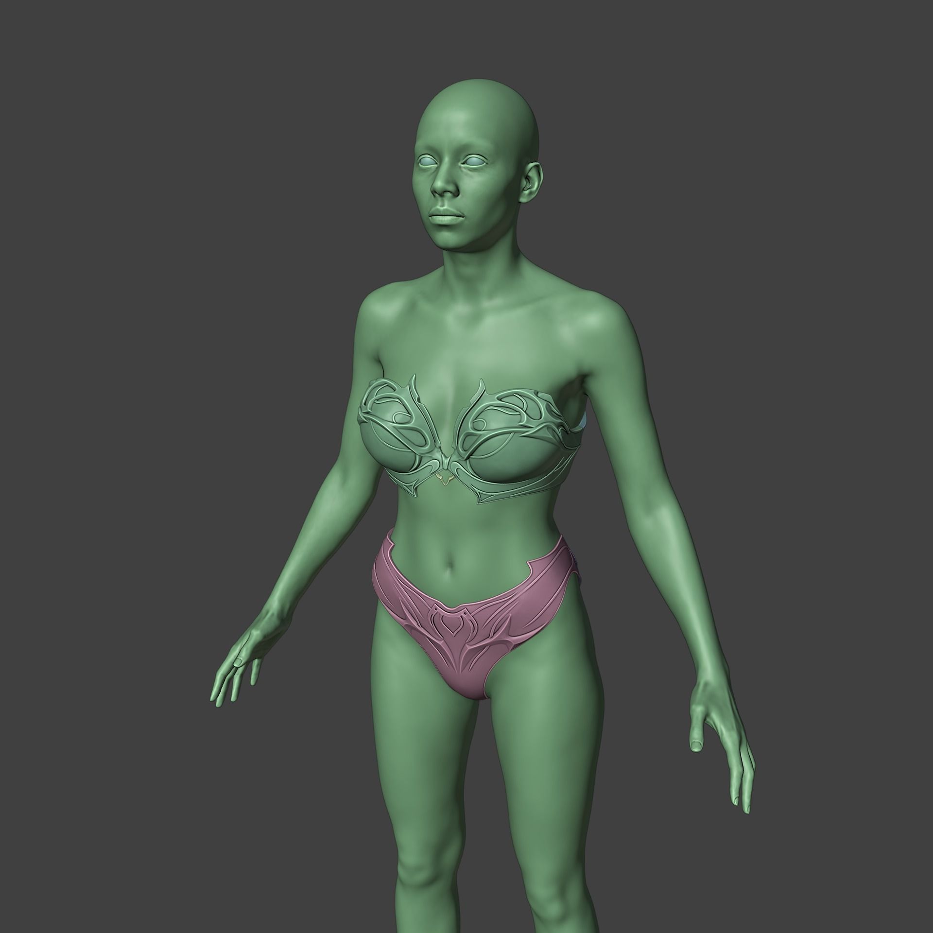Shadowheart Underwear Set Baldurs Gate 3 3D print model_12