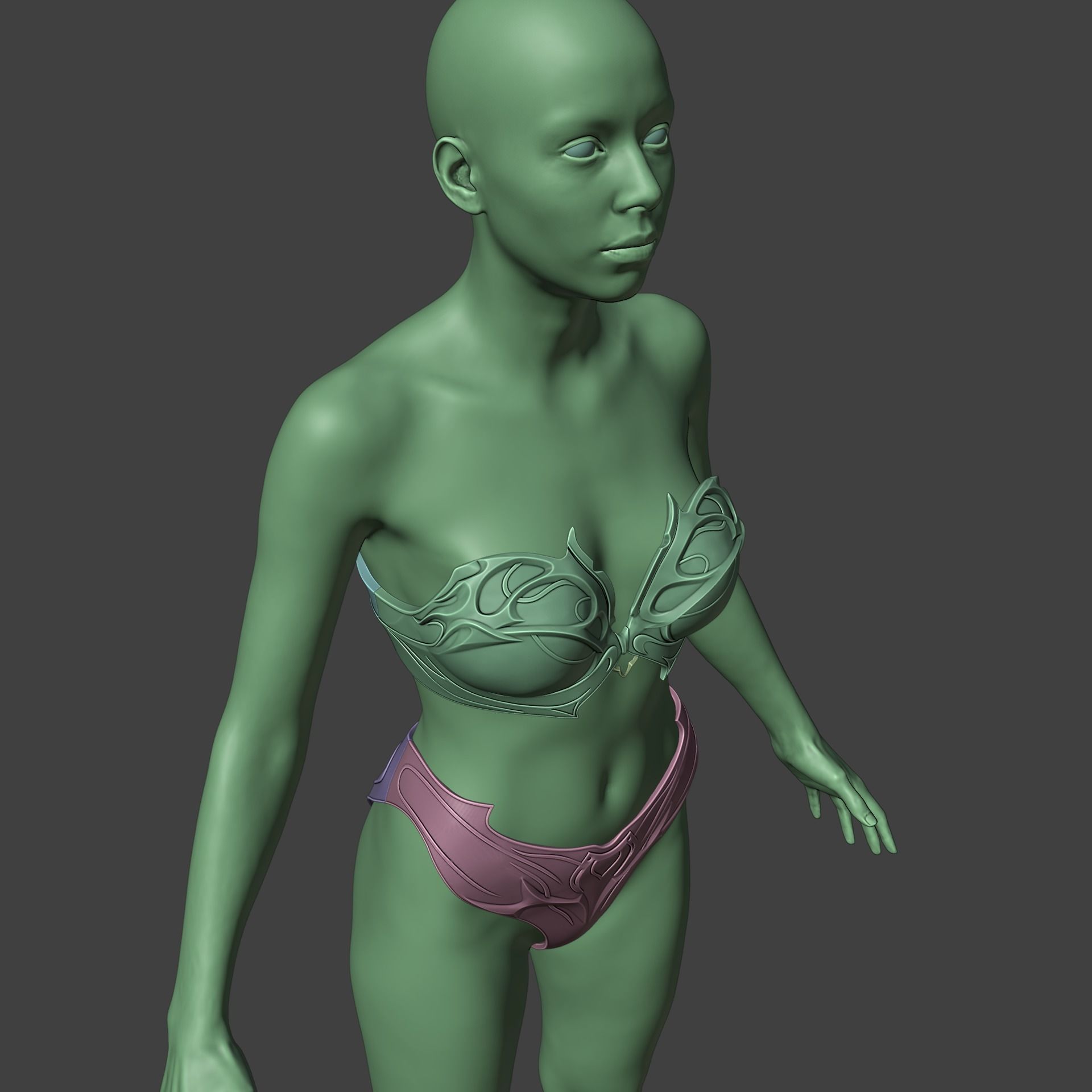 Shadowheart Underwear Set Baldurs Gate 3 3D print model_14