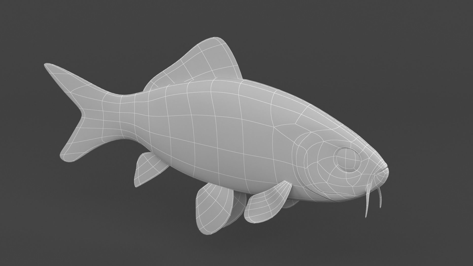 Fish Koi 3D model_8
