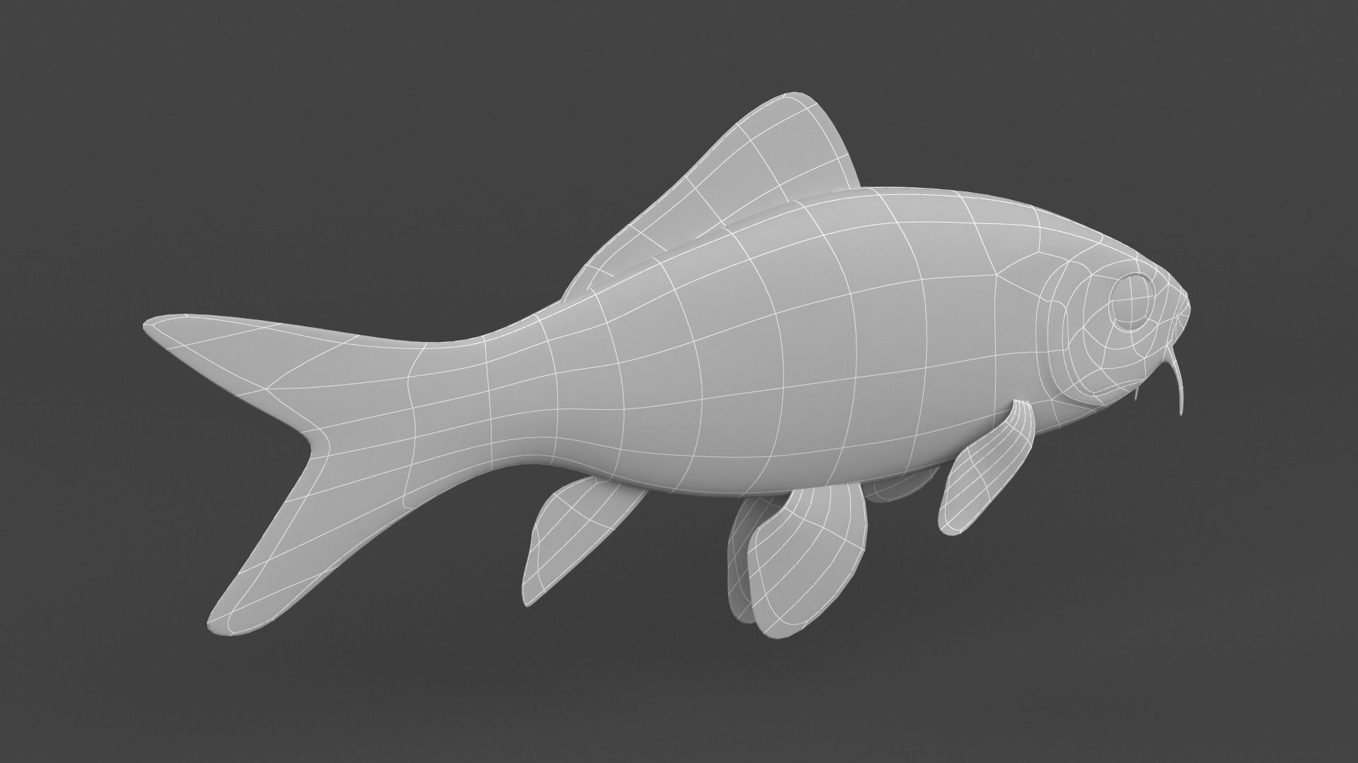 Fish Koi 3D model_6