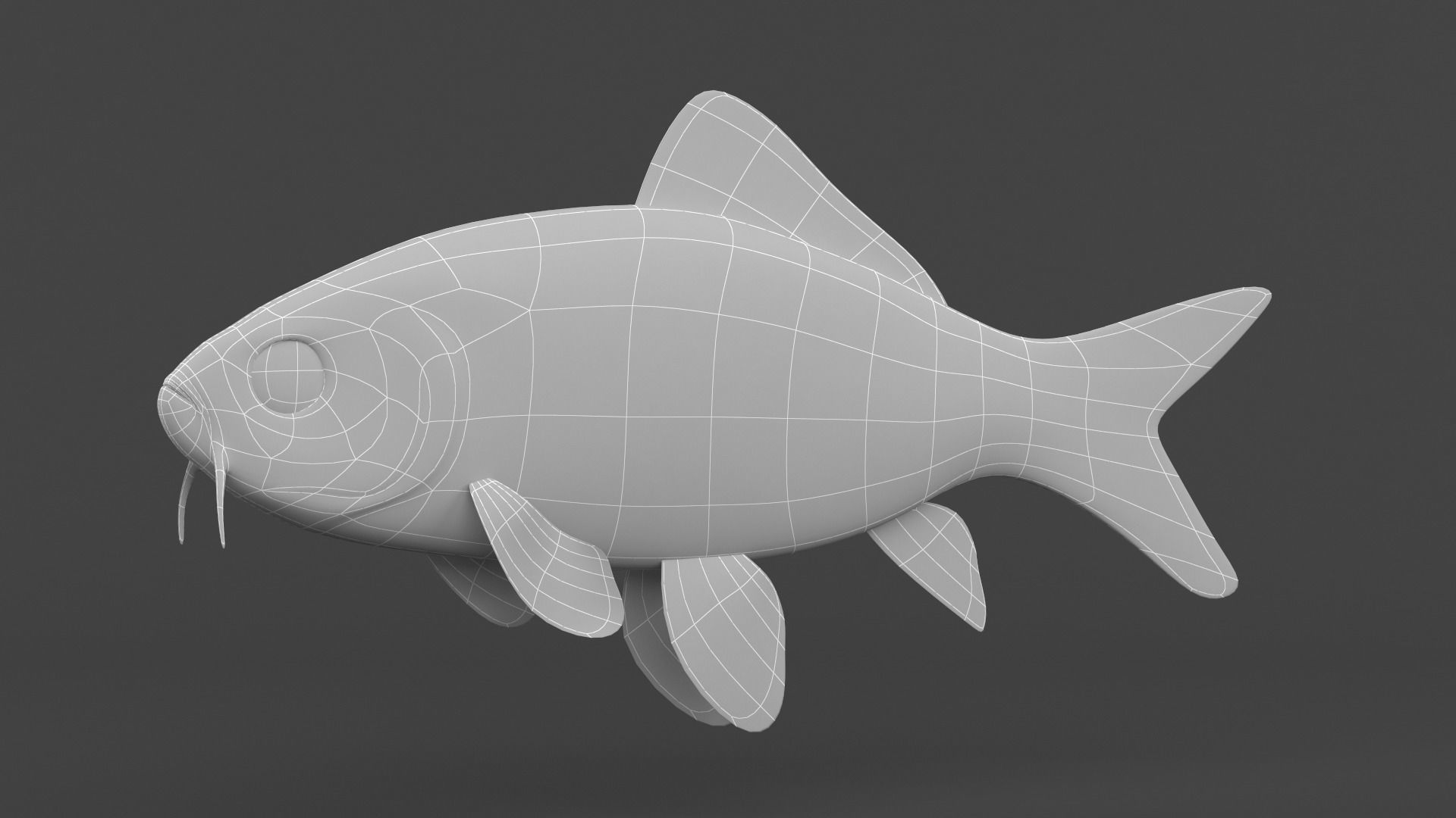 Fish Koi 3D model_9