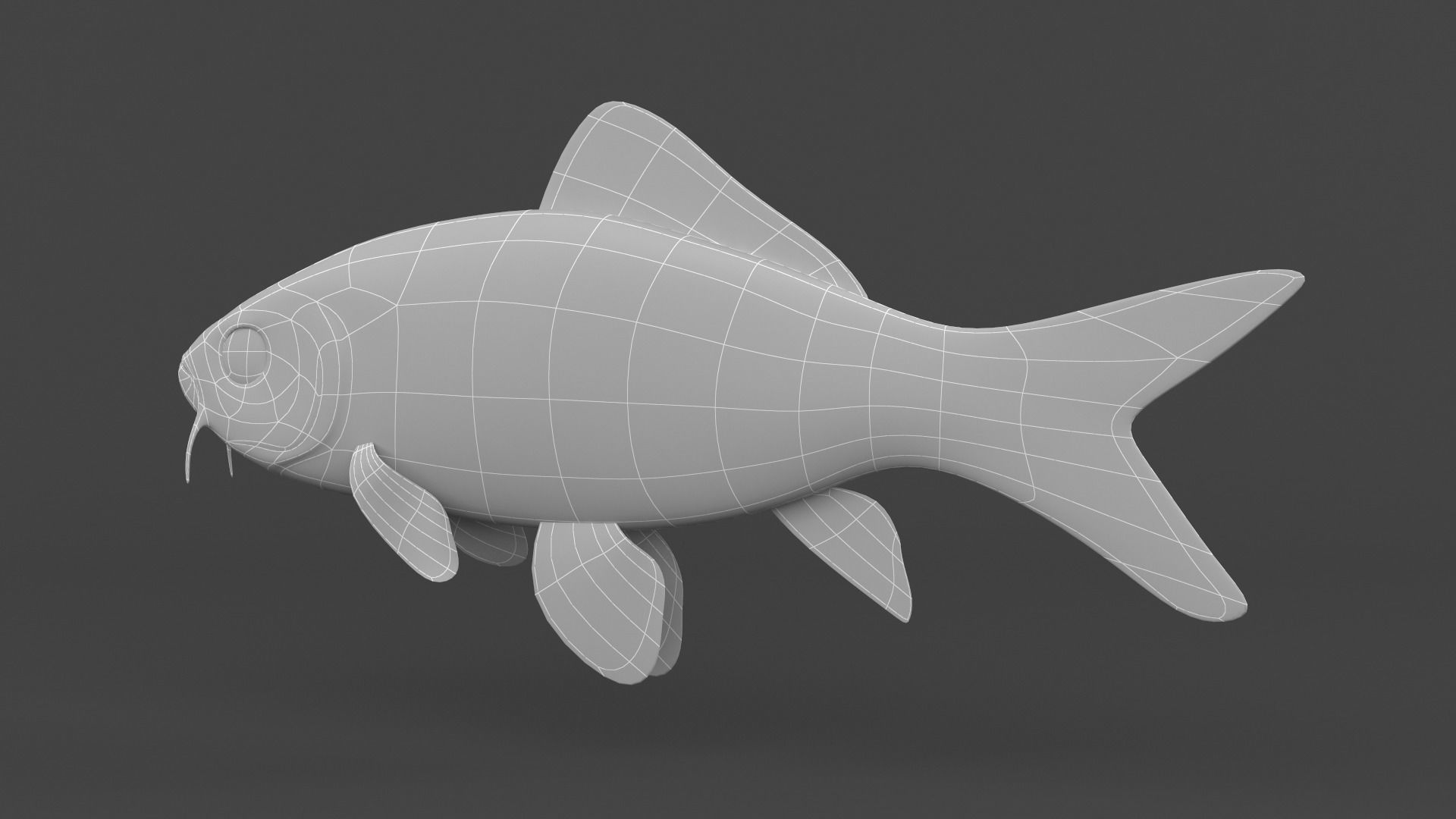 Fish Koi 3D model_7