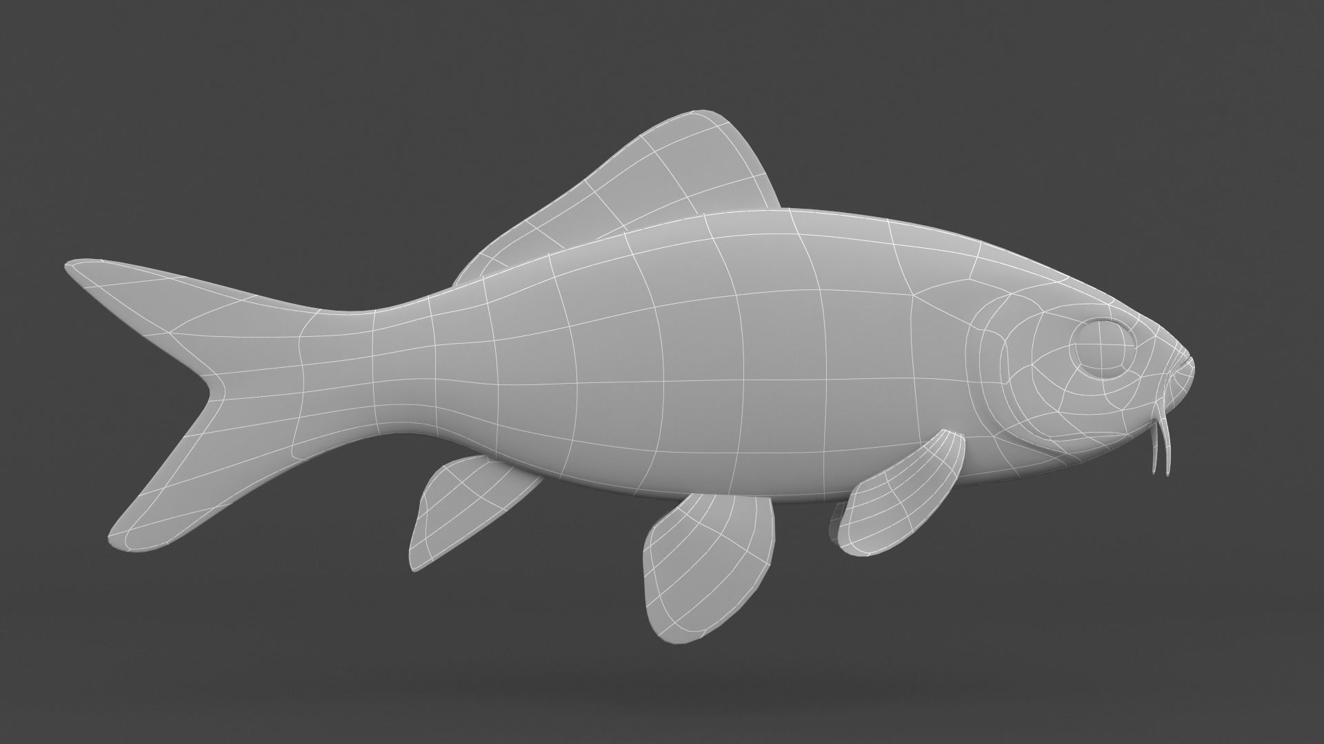 Fish Koi 3D model_5