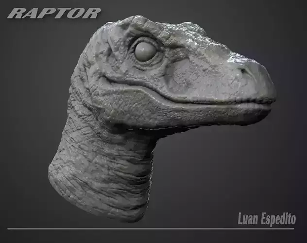 Raptor