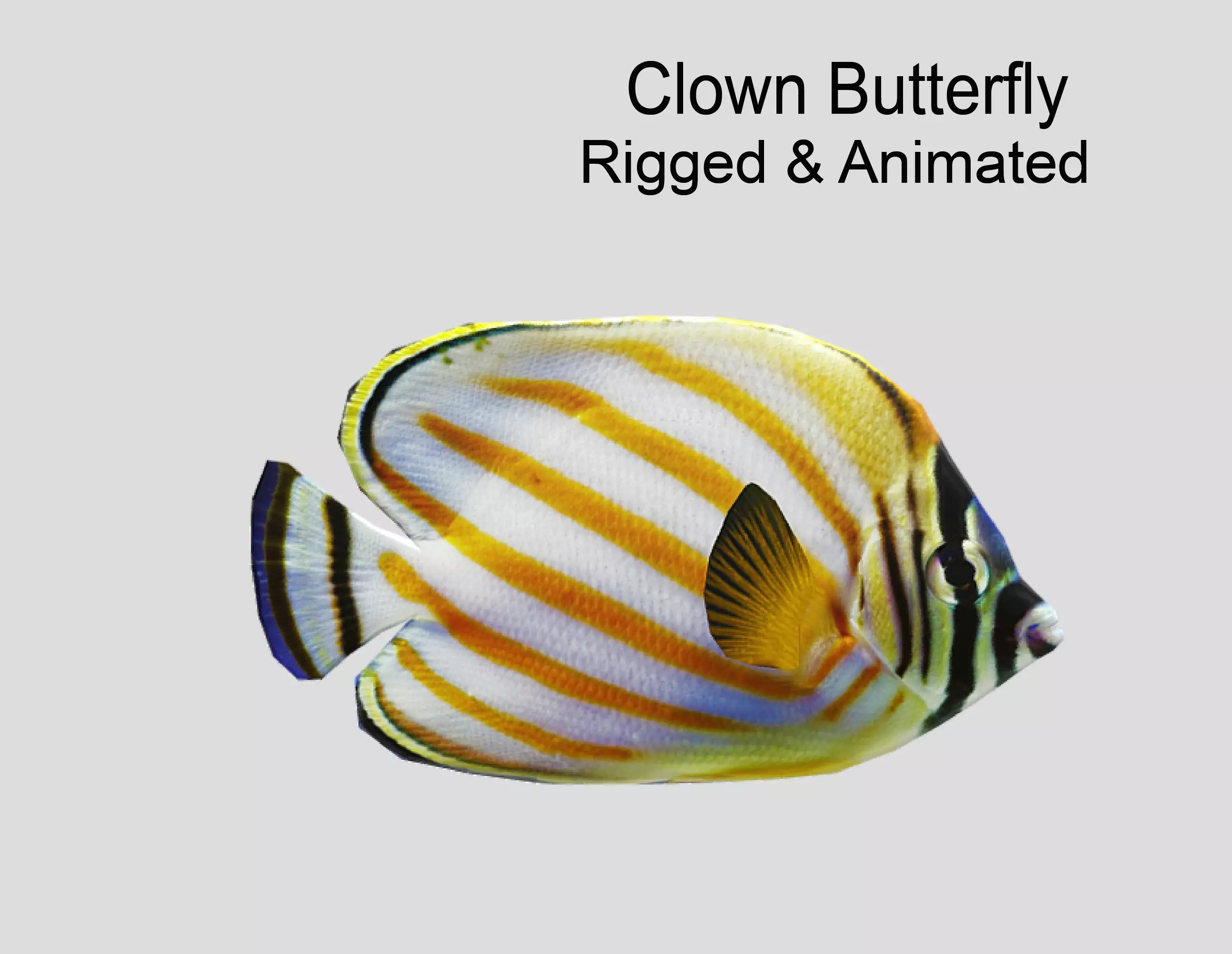 Clown Butterfly Realistic Animated Low-poly 3D model_0