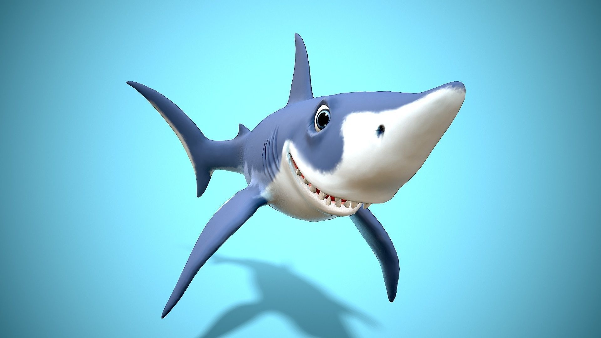 cartoon mako shark Low-poly 3D model_9