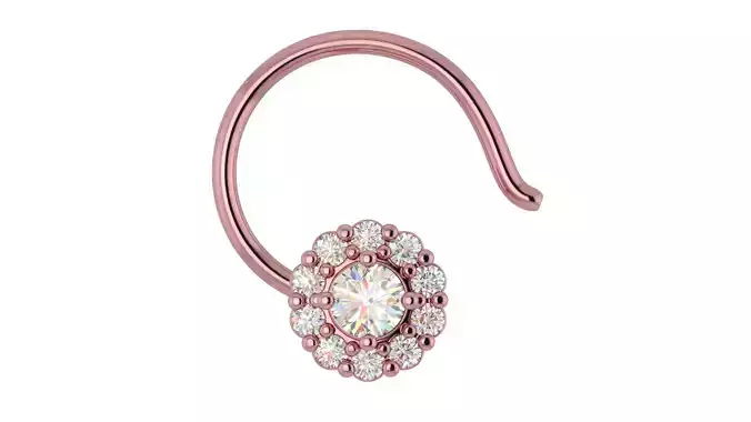 Nosepin 3D print model