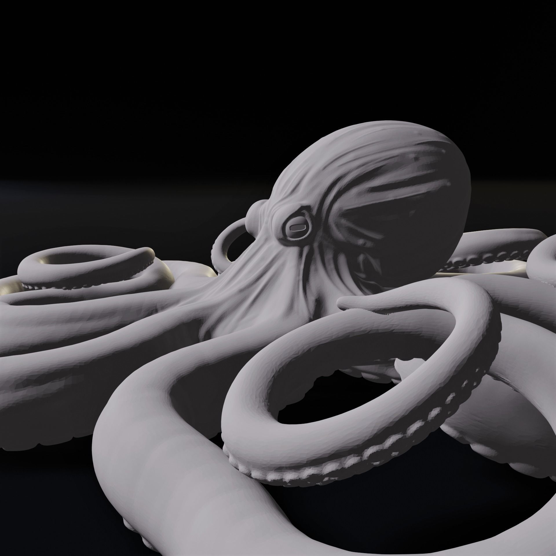 Octopus Wall Decoration 3D Print Model 3D print model_9