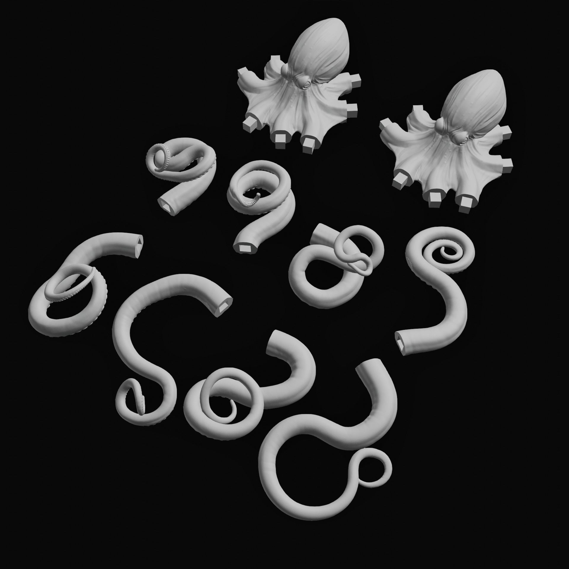 Octopus Wall Decoration 3D Print Model 3D print model_11
