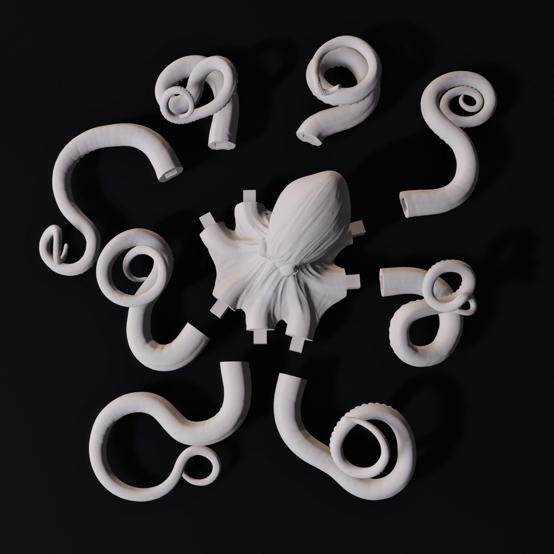 Octopus Wall Decoration 3D Print Model 3D print model_1