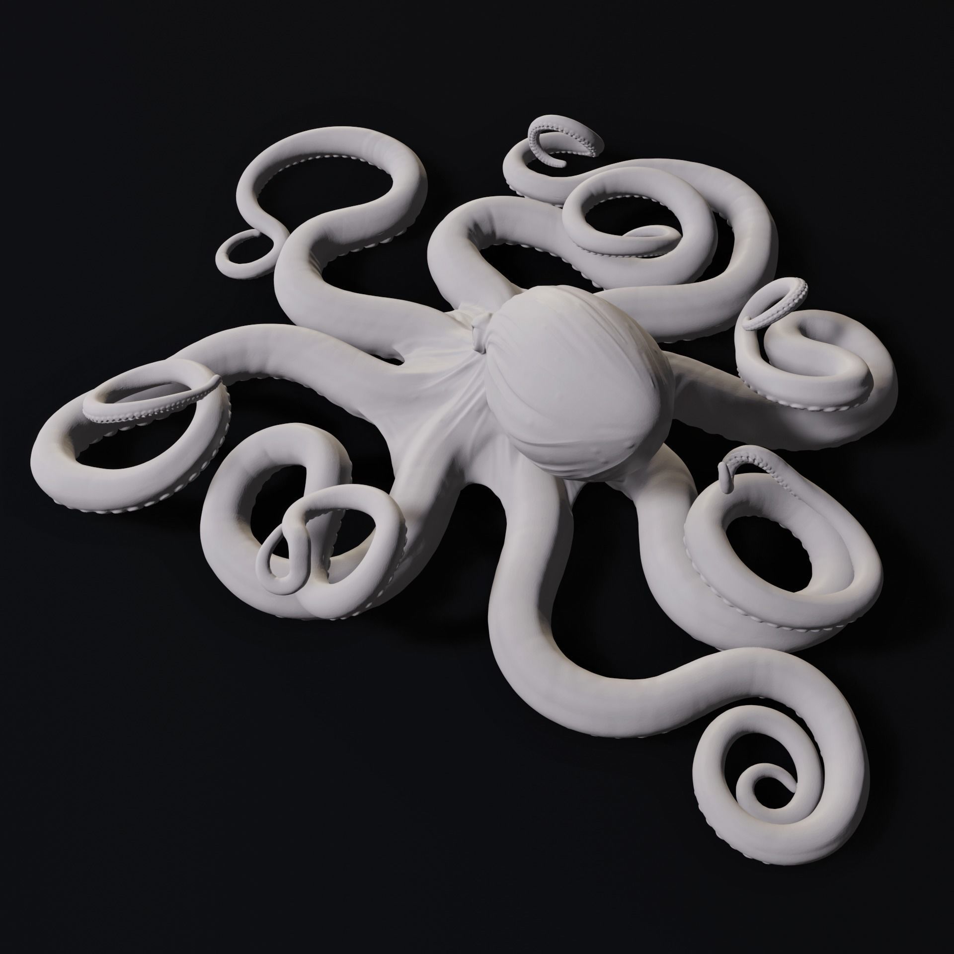 Octopus Wall Decoration 3D Print Model 3D print model_8