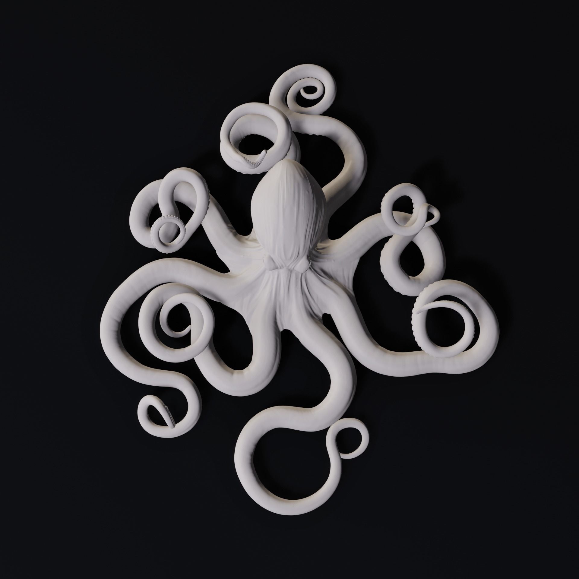 Octopus Wall Decoration 3D Print Model 3D print model_3