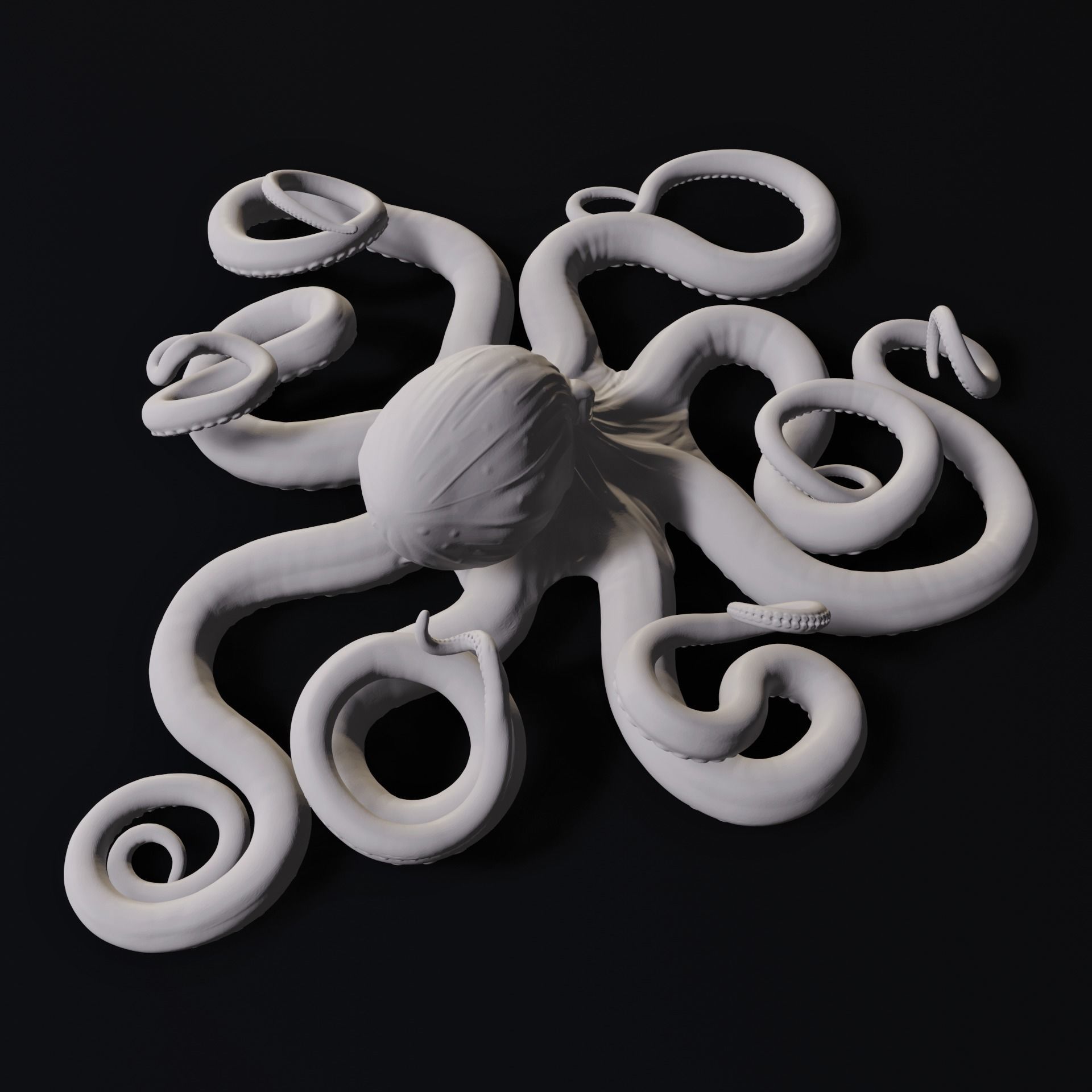 Octopus Wall Decoration 3D Print Model 3D print model_7