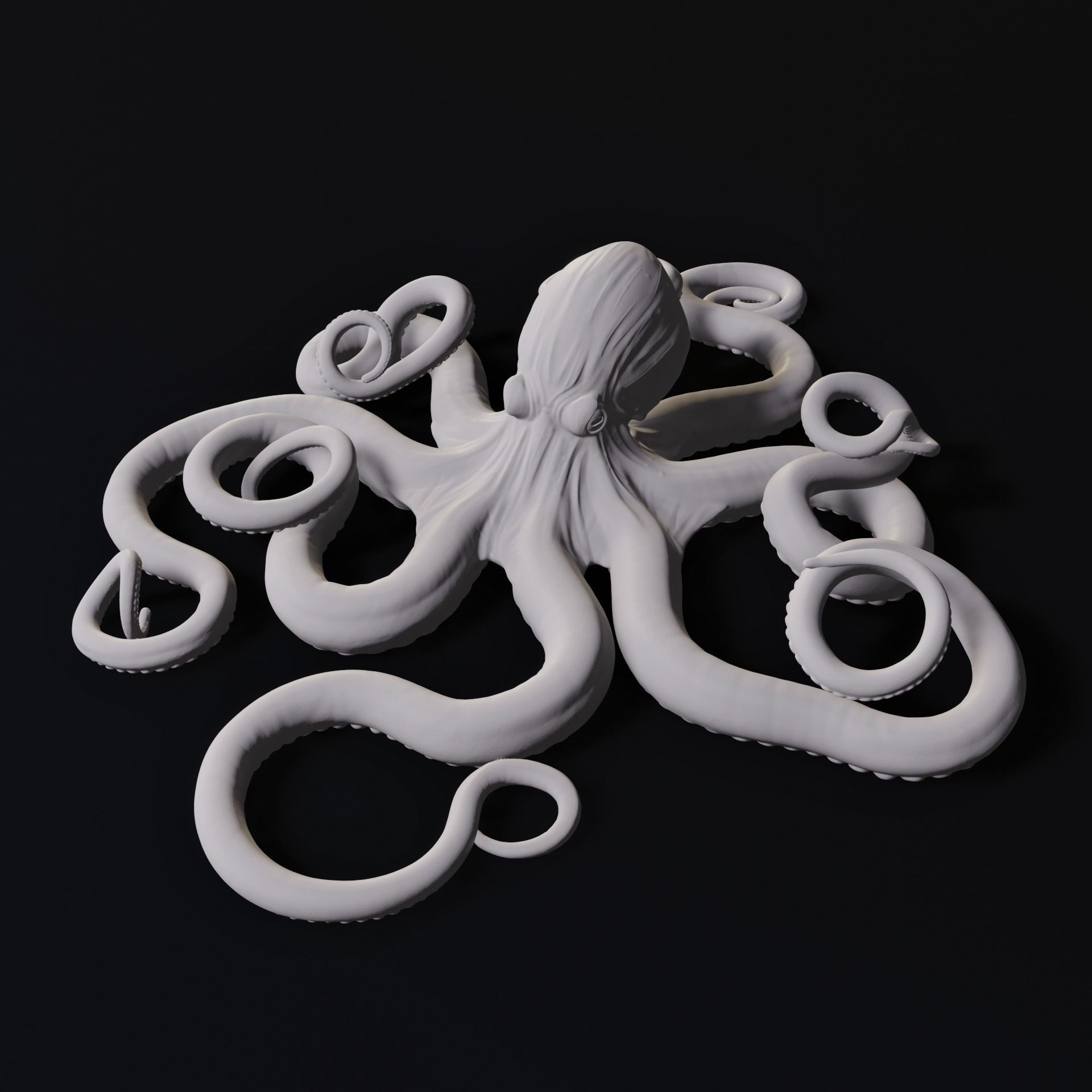 Octopus Wall Decoration 3D Print Model 3D print model_5