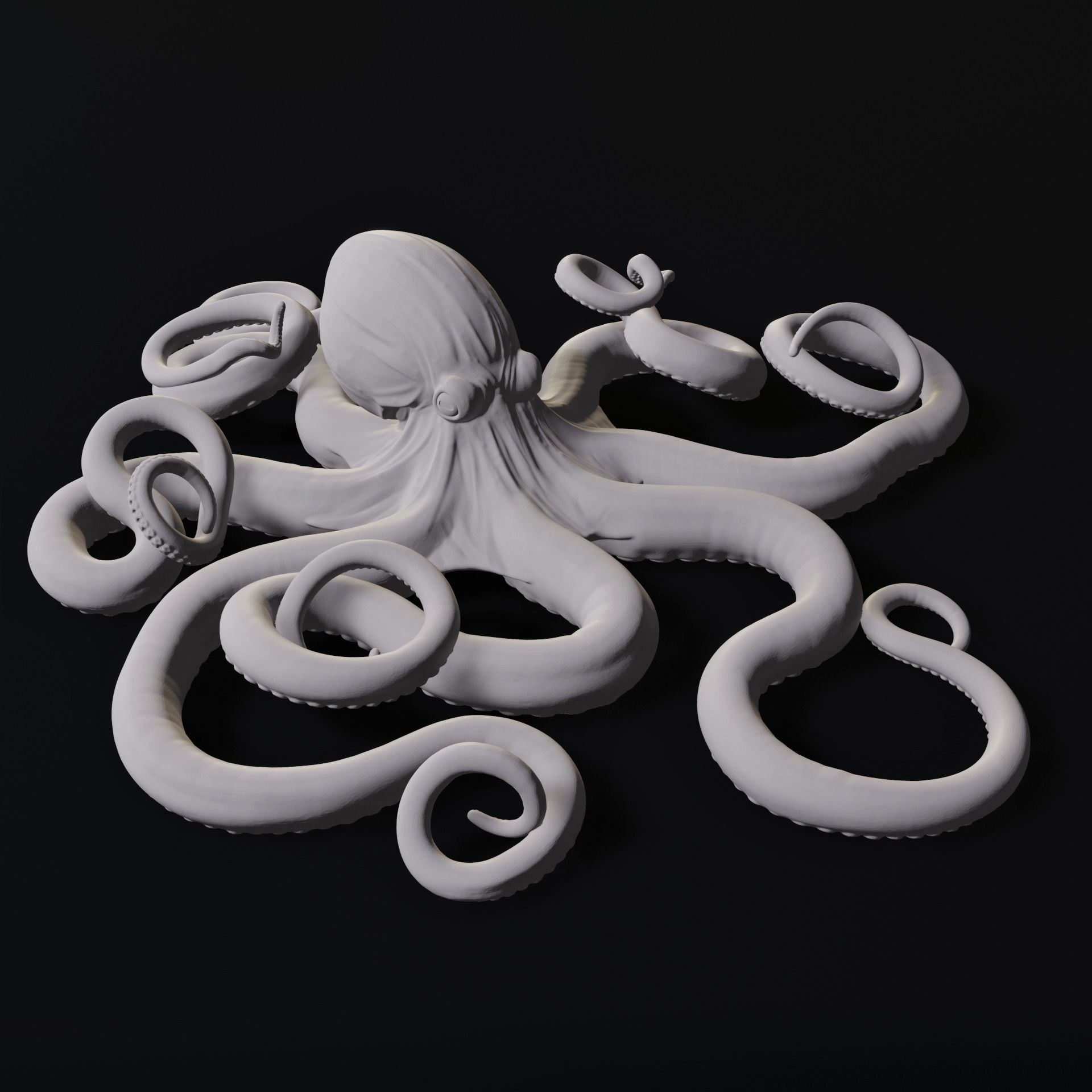 Octopus Wall Decoration 3D Print Model 3D print model_6