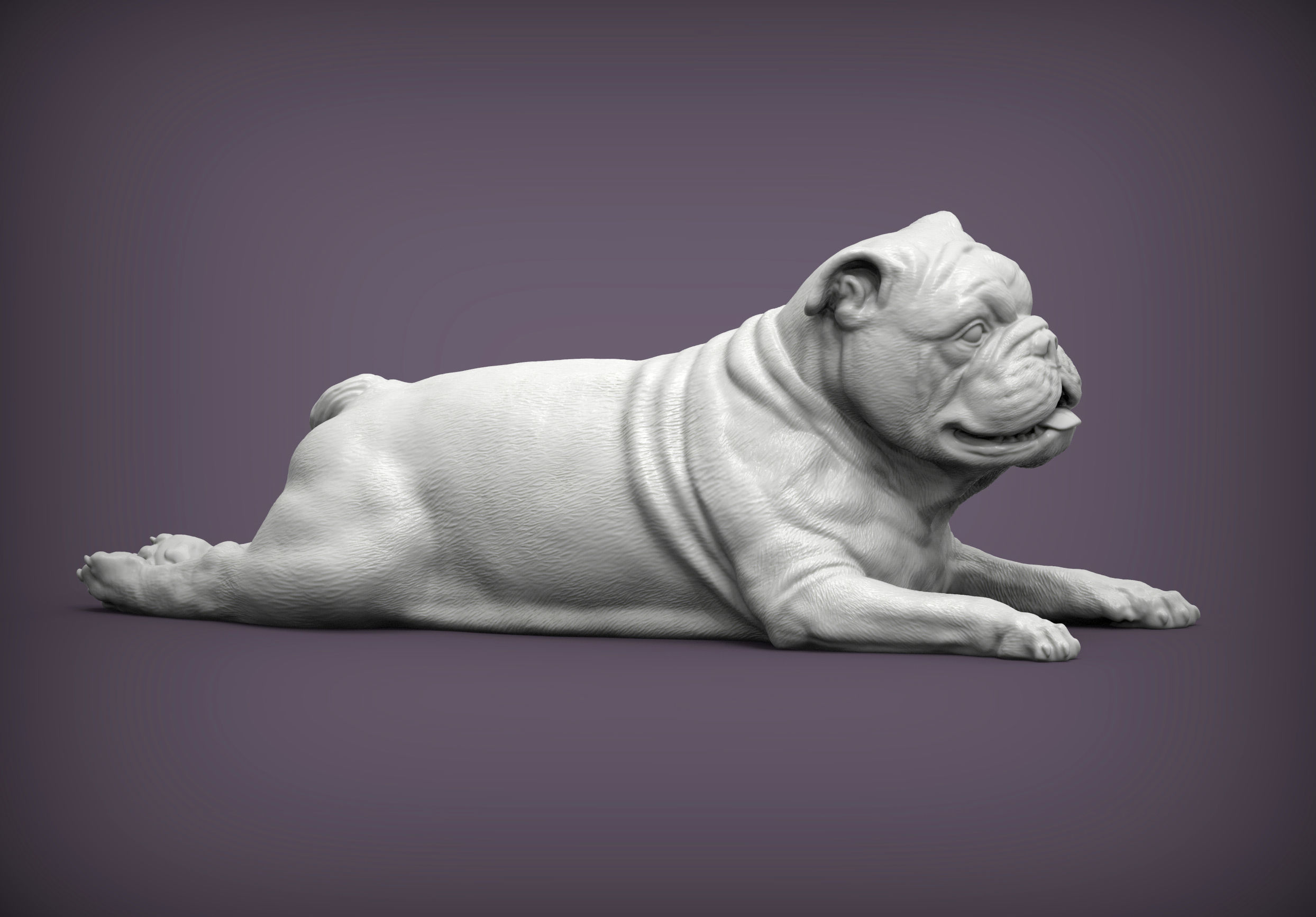English bulldog lies 3D print model_2
