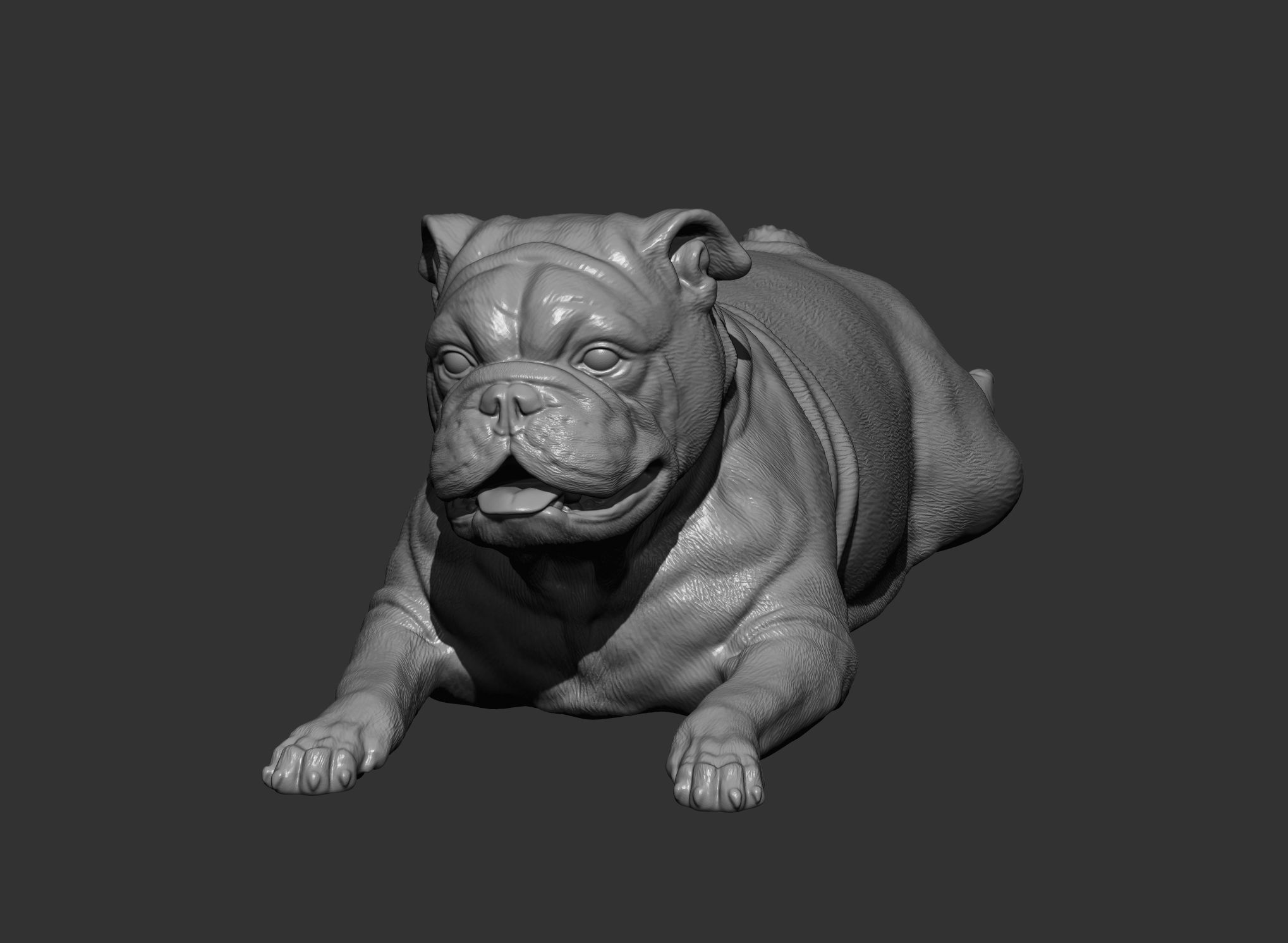 English bulldog lies 3D print model_9