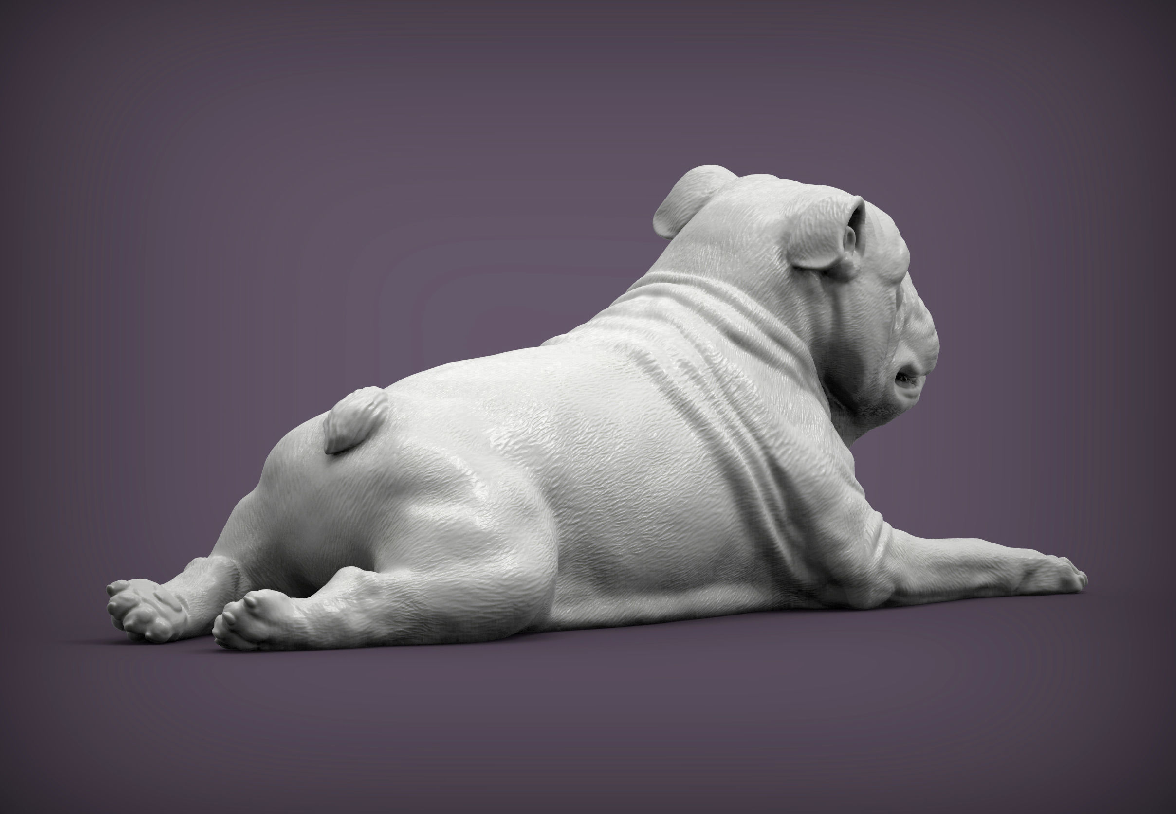 English bulldog lies 3D print model_5