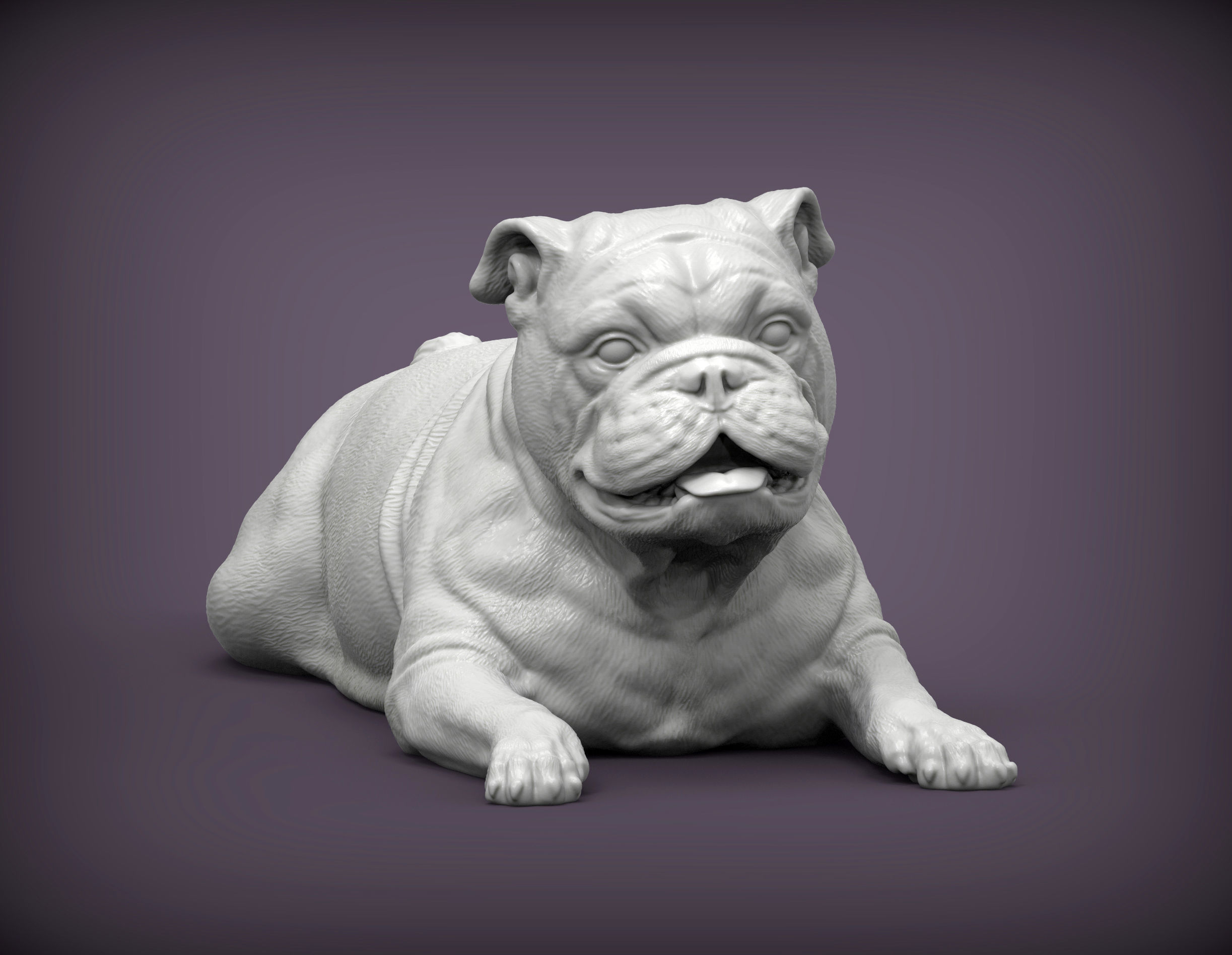 English bulldog lies 3D print model_3