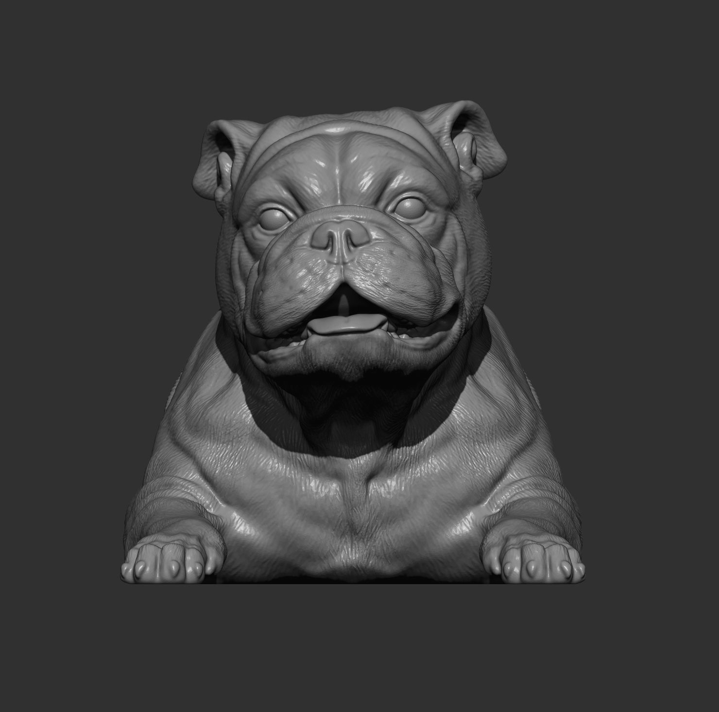 English bulldog lies 3D print model_8