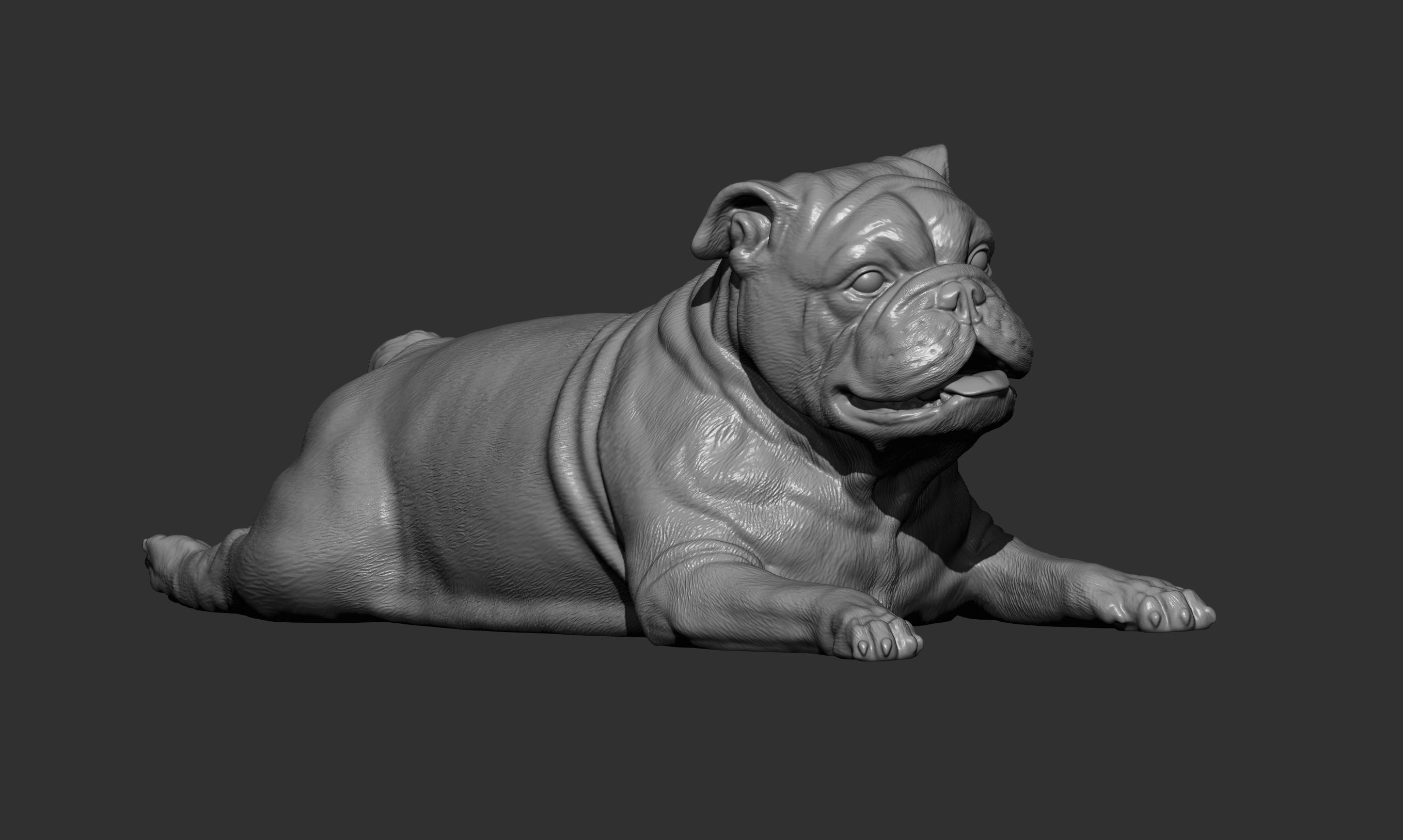 English bulldog lies 3D print model_10