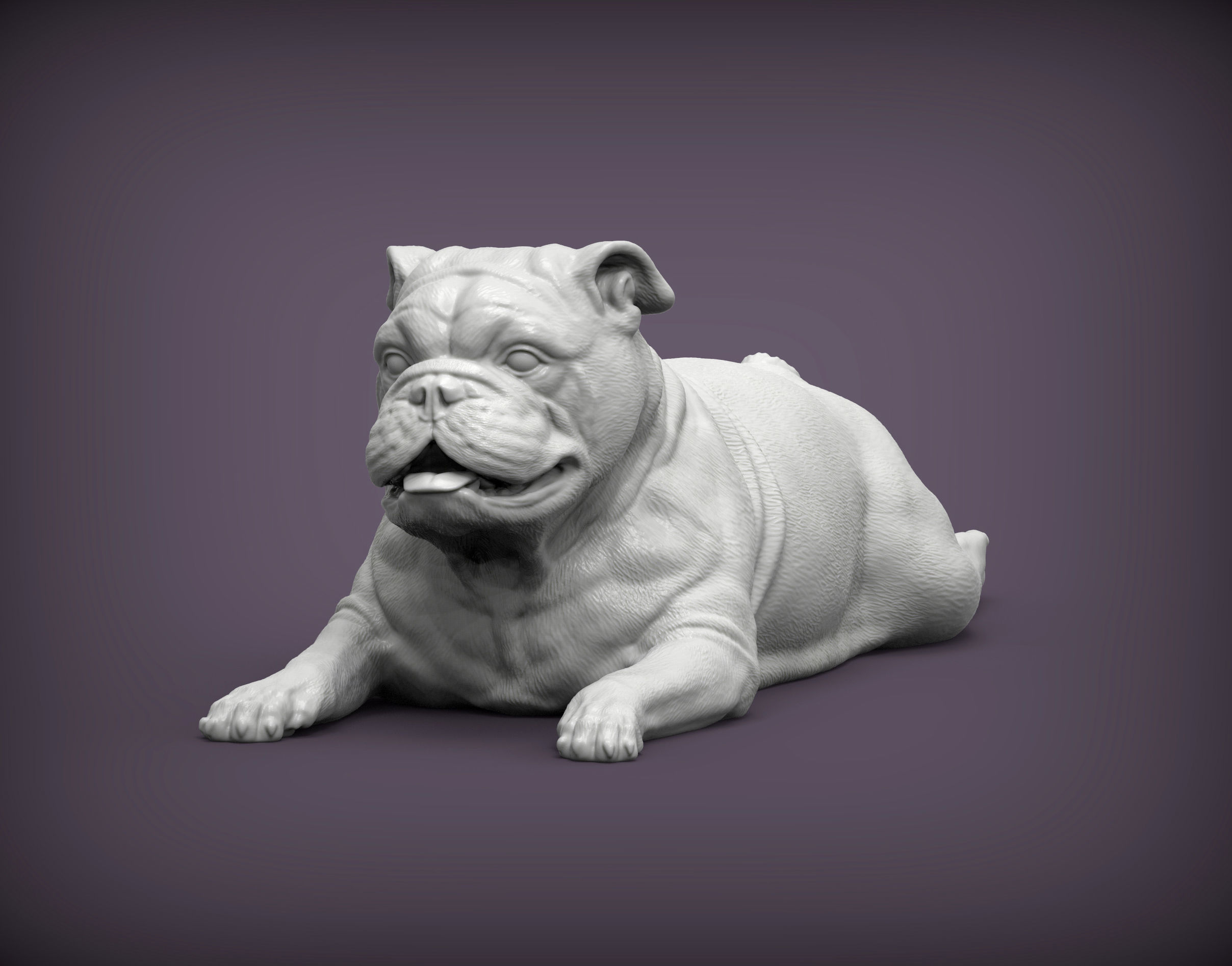 English bulldog lies 3D print model_4