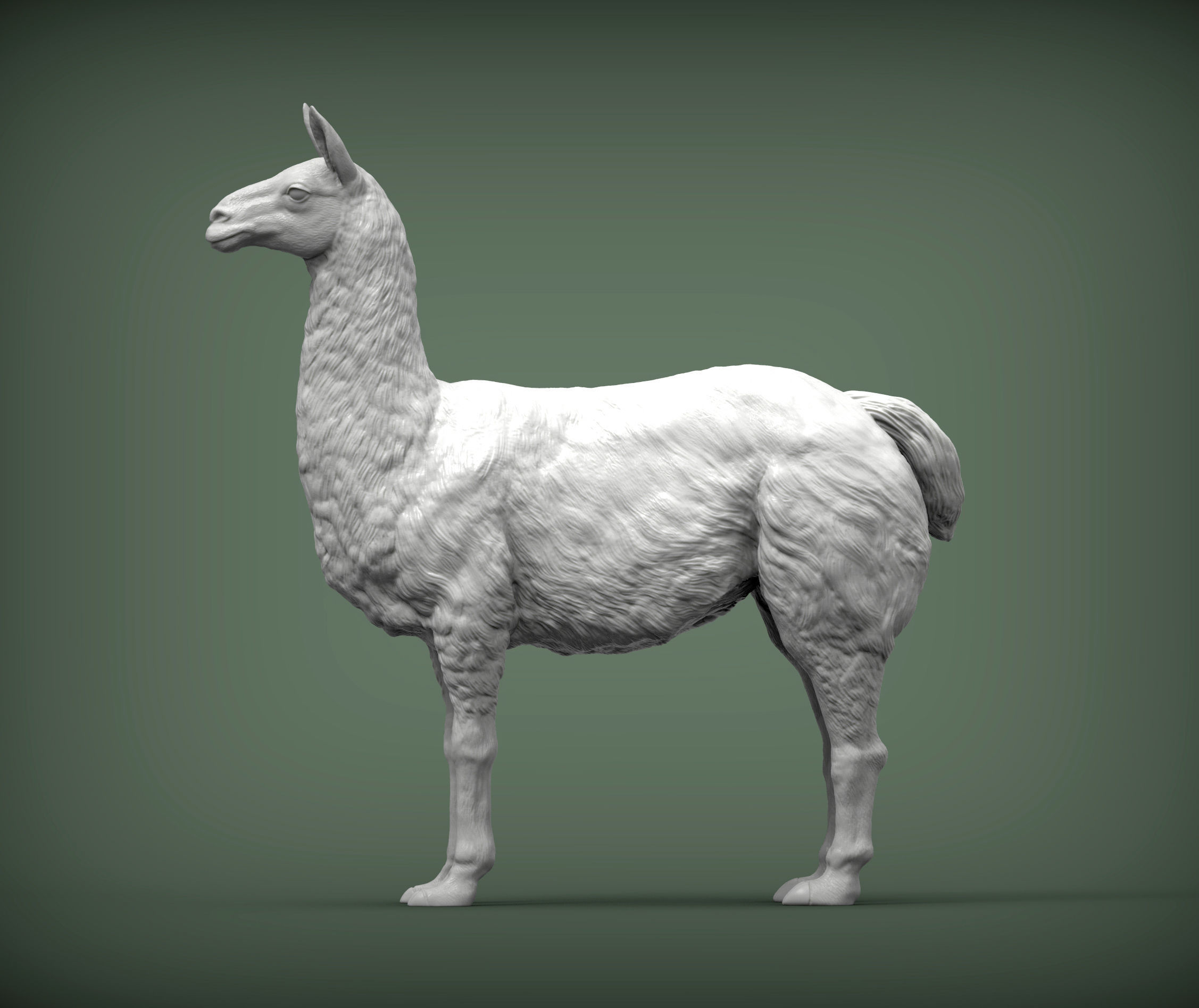 Lama 3D print model 3D print model_2