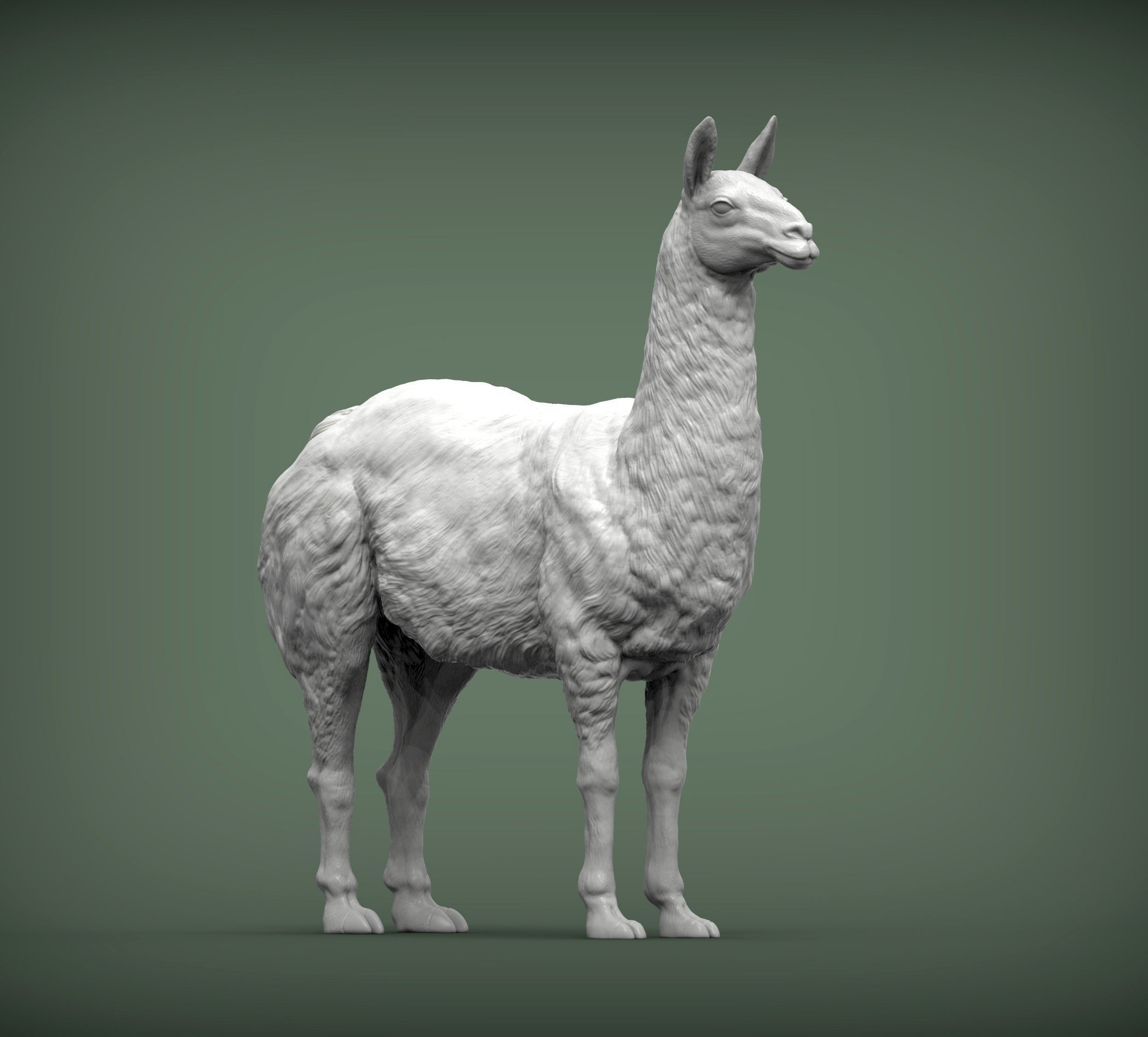 Lama 3D print model 3D print model_3