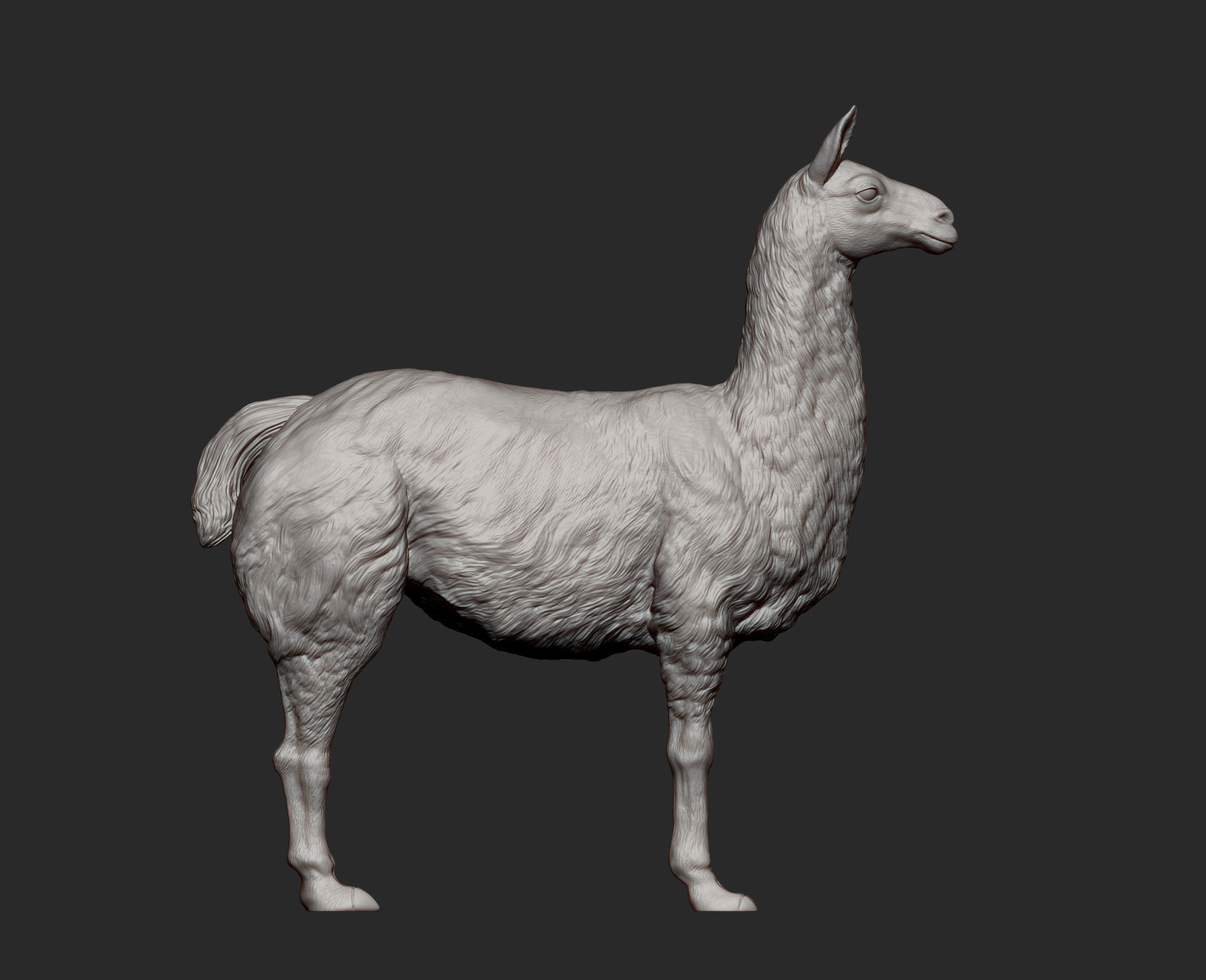 Lama 3D print model 3D print model_9