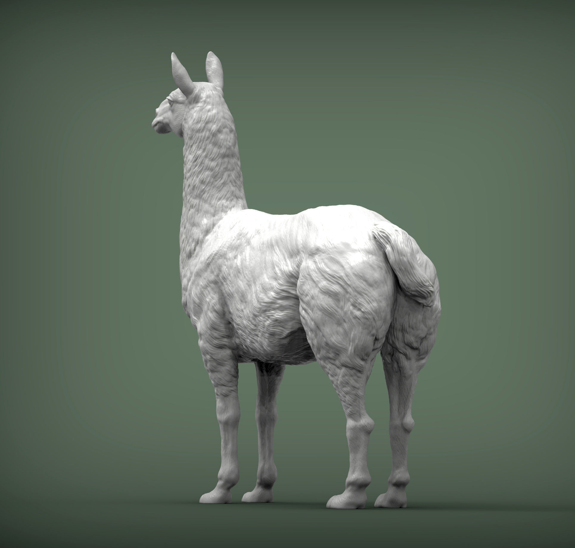 Lama 3D print model 3D print model_5
