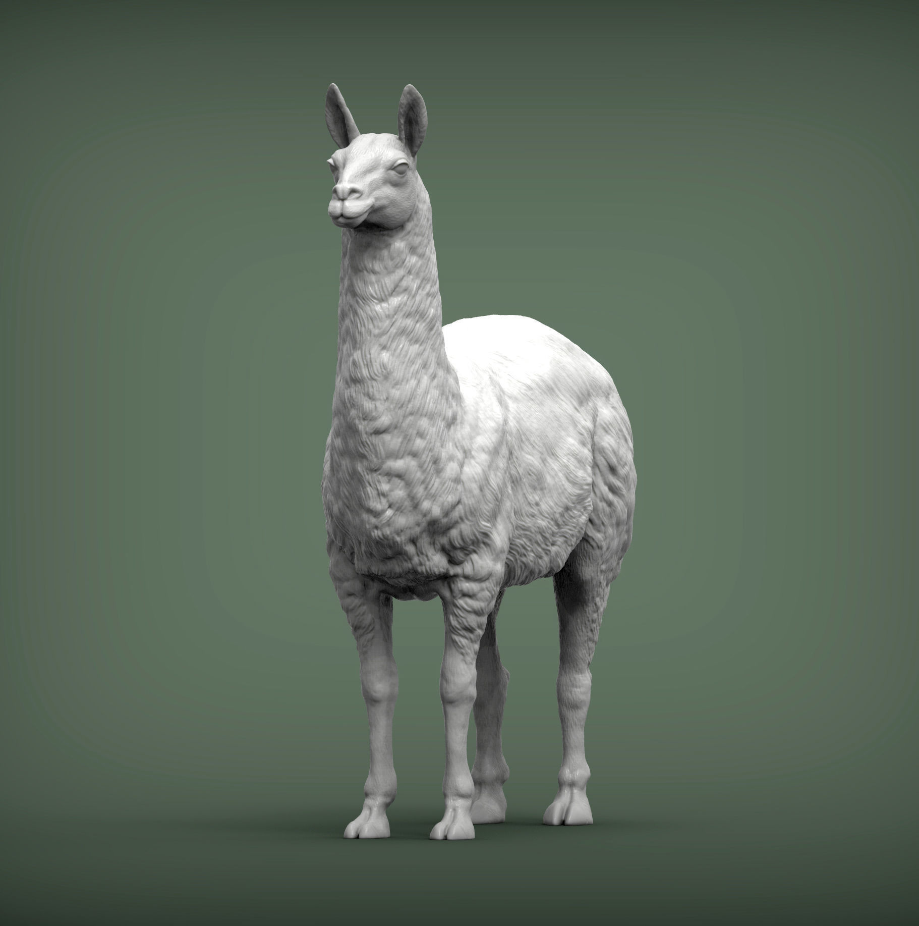 Lama 3D print model 3D print model_1