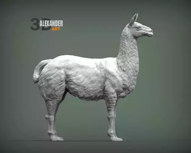 Lama 3D print model