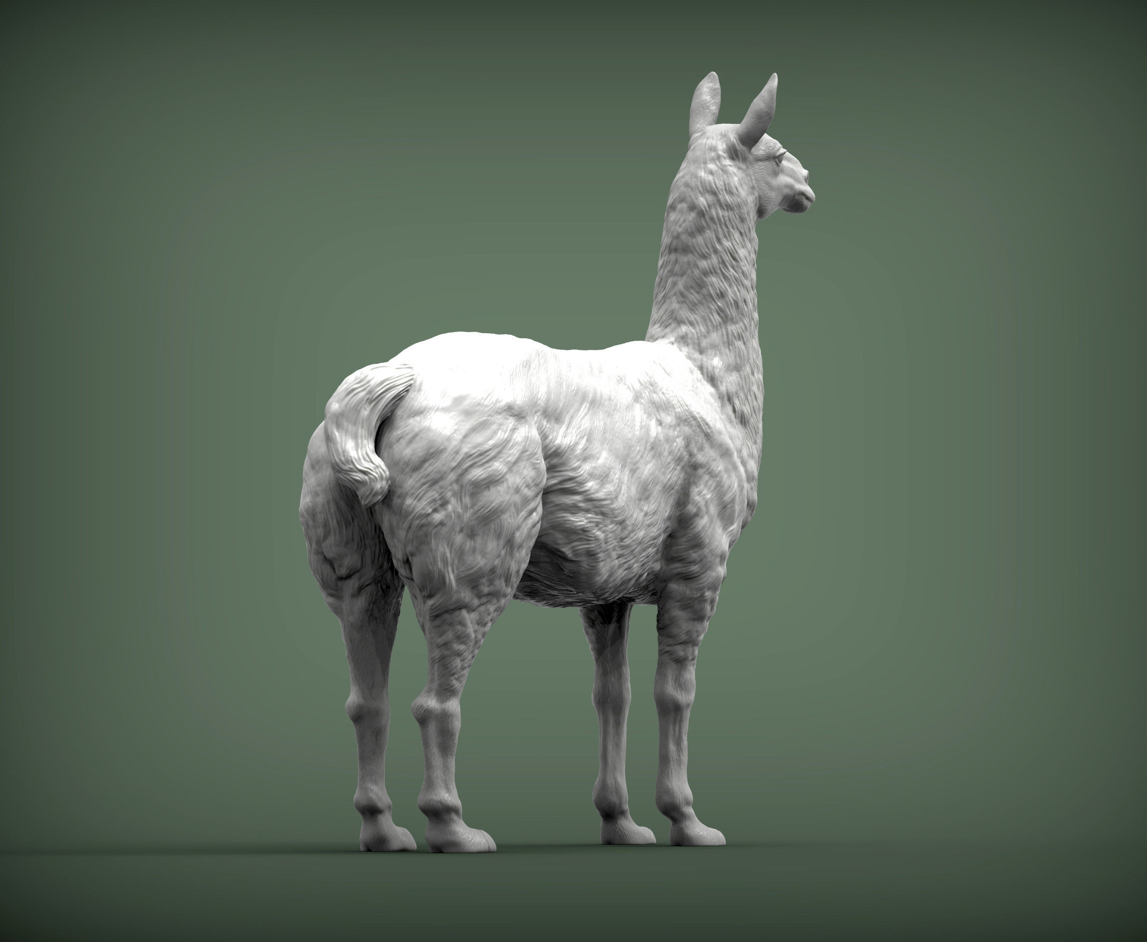 Lama 3D print model 3D print model_4
