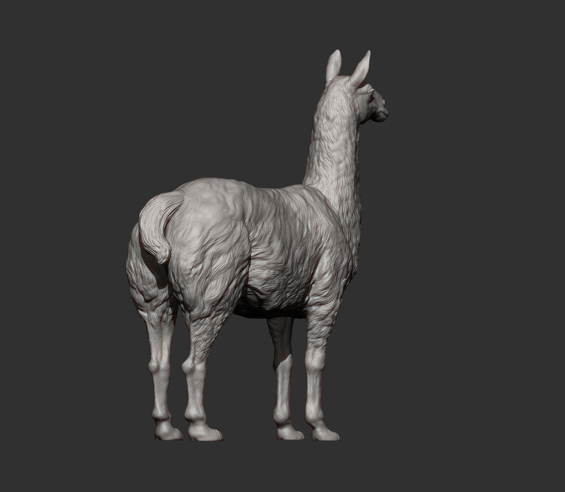 Lama 3D print model 3D print model_6