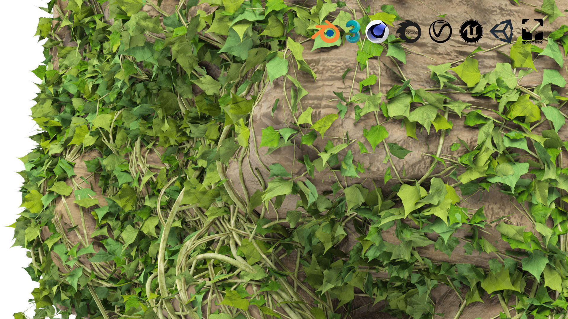 Ivy-Covered Rock 3D Model Low-poly 3D model_7